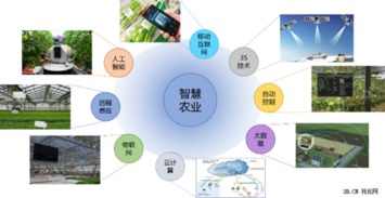 2015年農(nóng)業(yè)B2B互聯(lián)網(wǎng)行業(yè)報(bào)告 網(wǎng)絡(luò)技術(shù)開發(fā)趨勢與影響分析